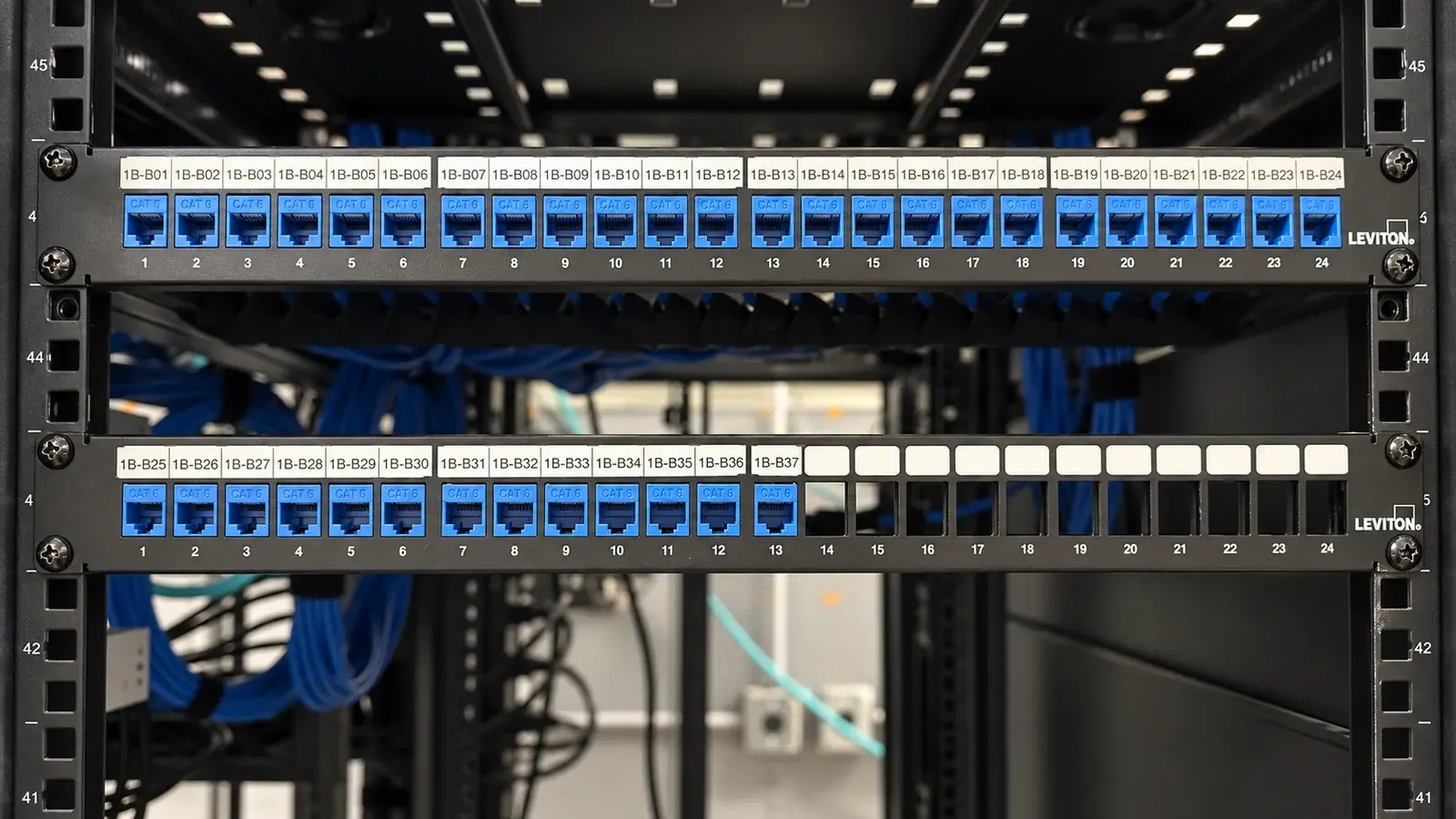 Blue RJ45 jacks mounted in copper patch panels inside a commercial network rack.