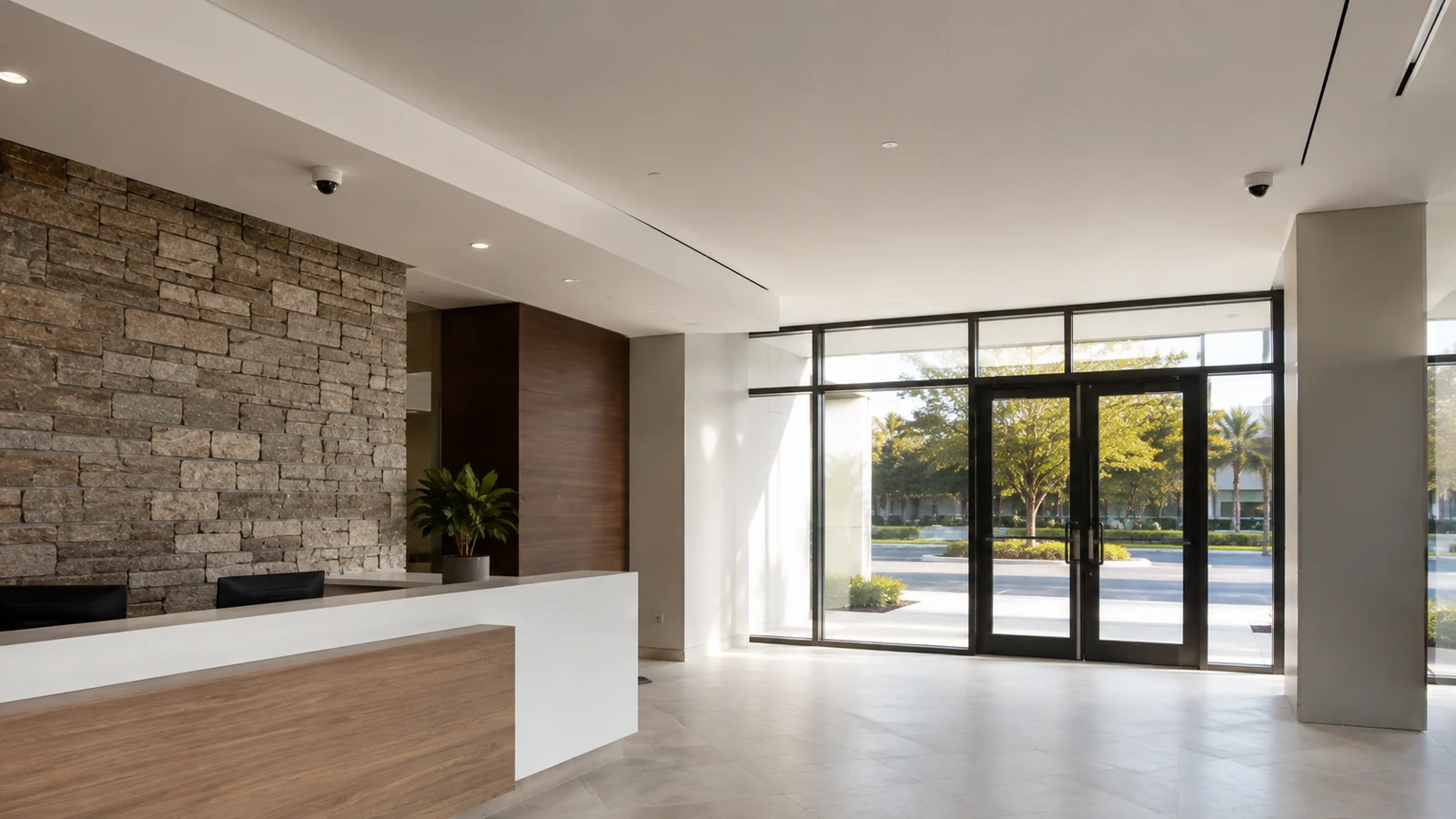 Commercial lobby with two ceiling-mounted dome cameras, a reception desk and glass entrance doors.