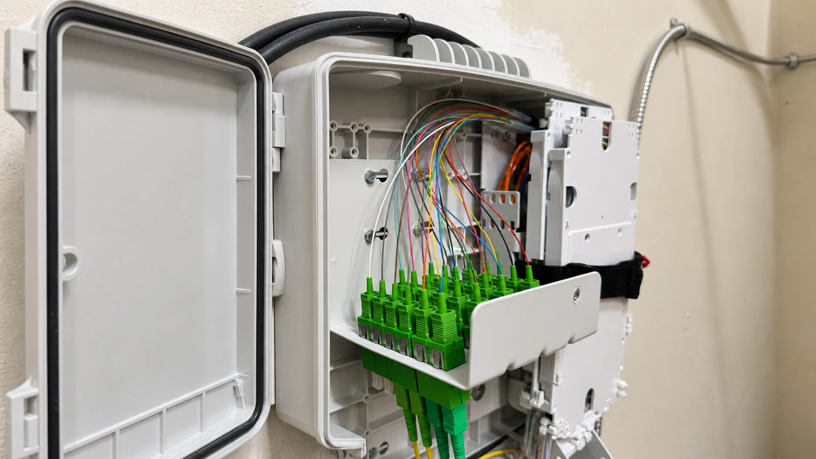 Wall-mounted optical enclosure with green adapters, individual fibers and protected internal trays.